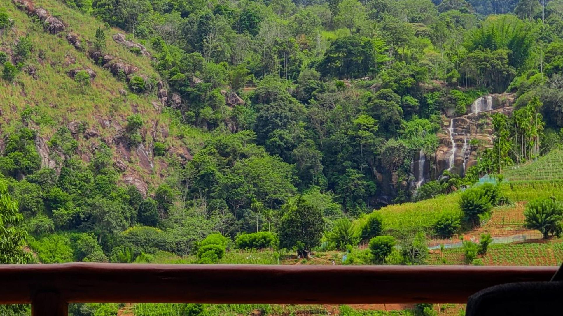 Ella Lovers View Cabins ภายนอก รูปภาพ